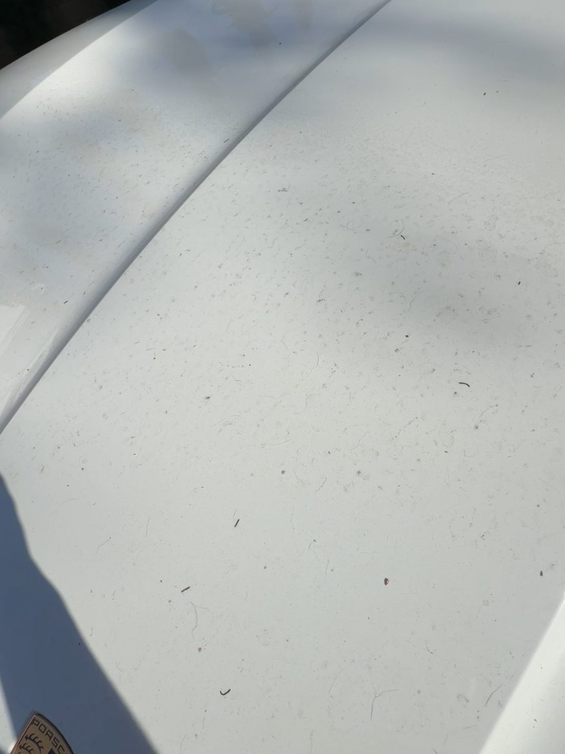 Porsche Cayenne exterior before detailing